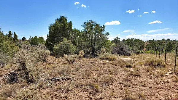 $120,000 | 15.5 Yellow Jacket Co 81327, Yellow Jacket, CO 81335