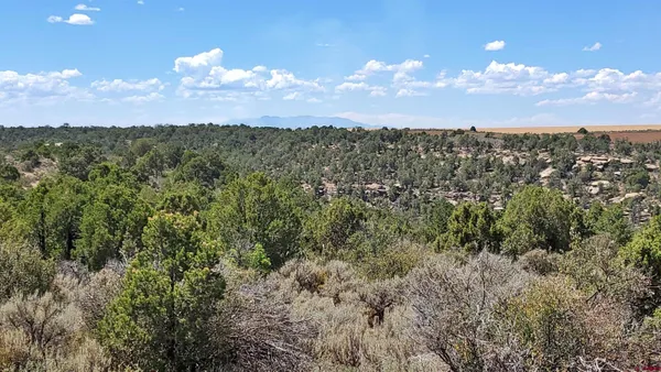 $120,000 | 15.5 Yellow Jacket Co 81327, Yellow Jacket, CO 81335