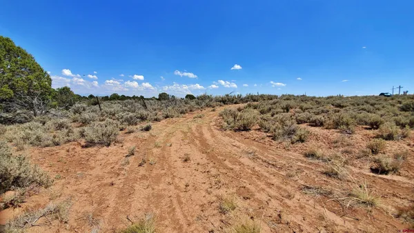 $120,000 | 15.5 Yellow Jacket Co 81327, Yellow Jacket, CO 81335