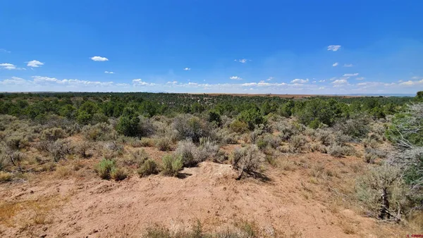 $120,000 | 15.5 Yellow Jacket Co 81327, Yellow Jacket, CO 81335