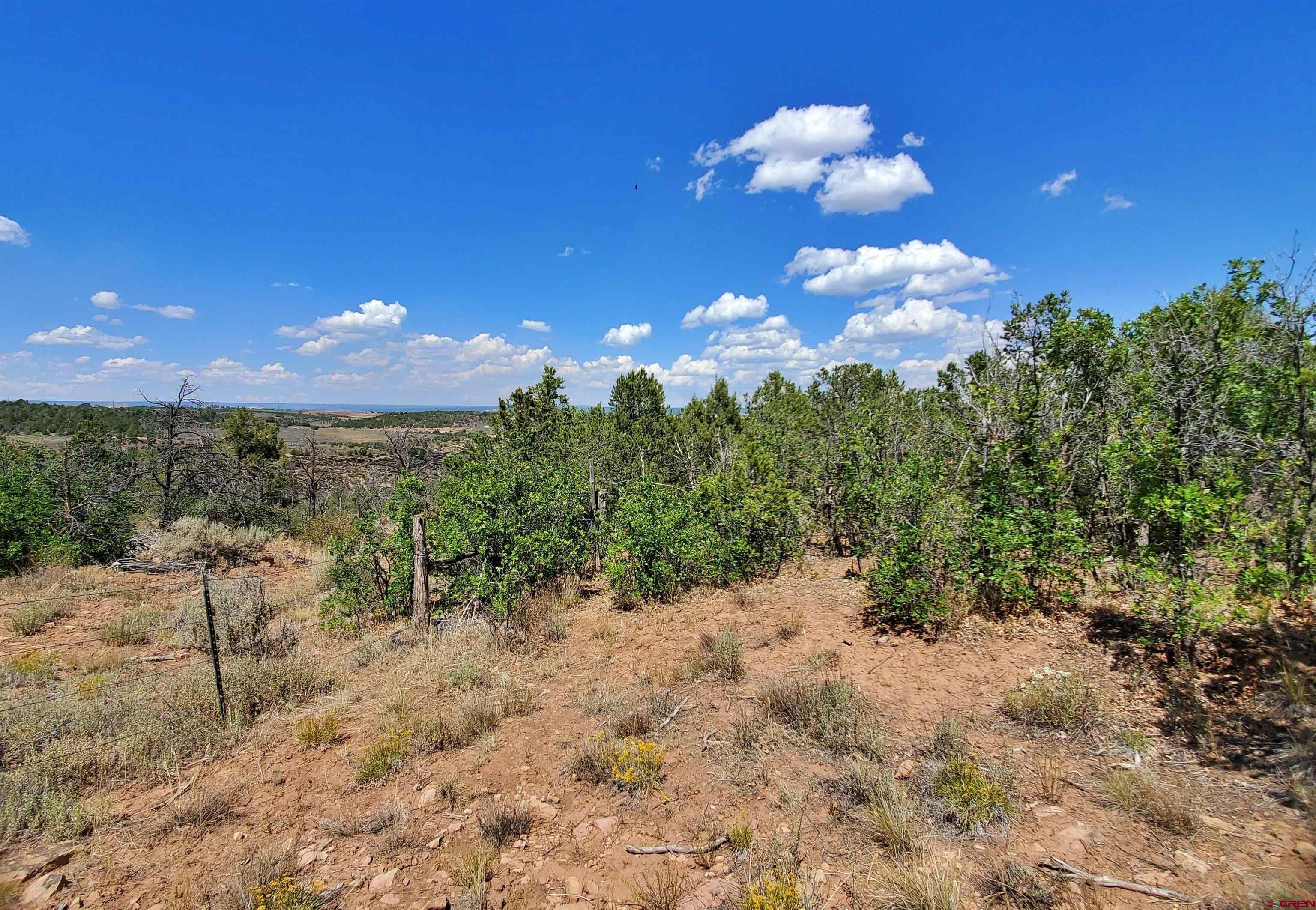 15.5 Yellow Jacket Co 81327 Yellow Jacket, CO 81335 - Photo 26 of 45 a view of a yard with plants and a yard