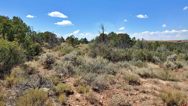 $120,000 | 15.5 Yellow Jacket Co 81327, Yellow Jacket, CO 81335