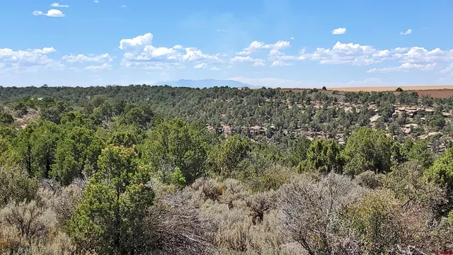 a view of a big yard