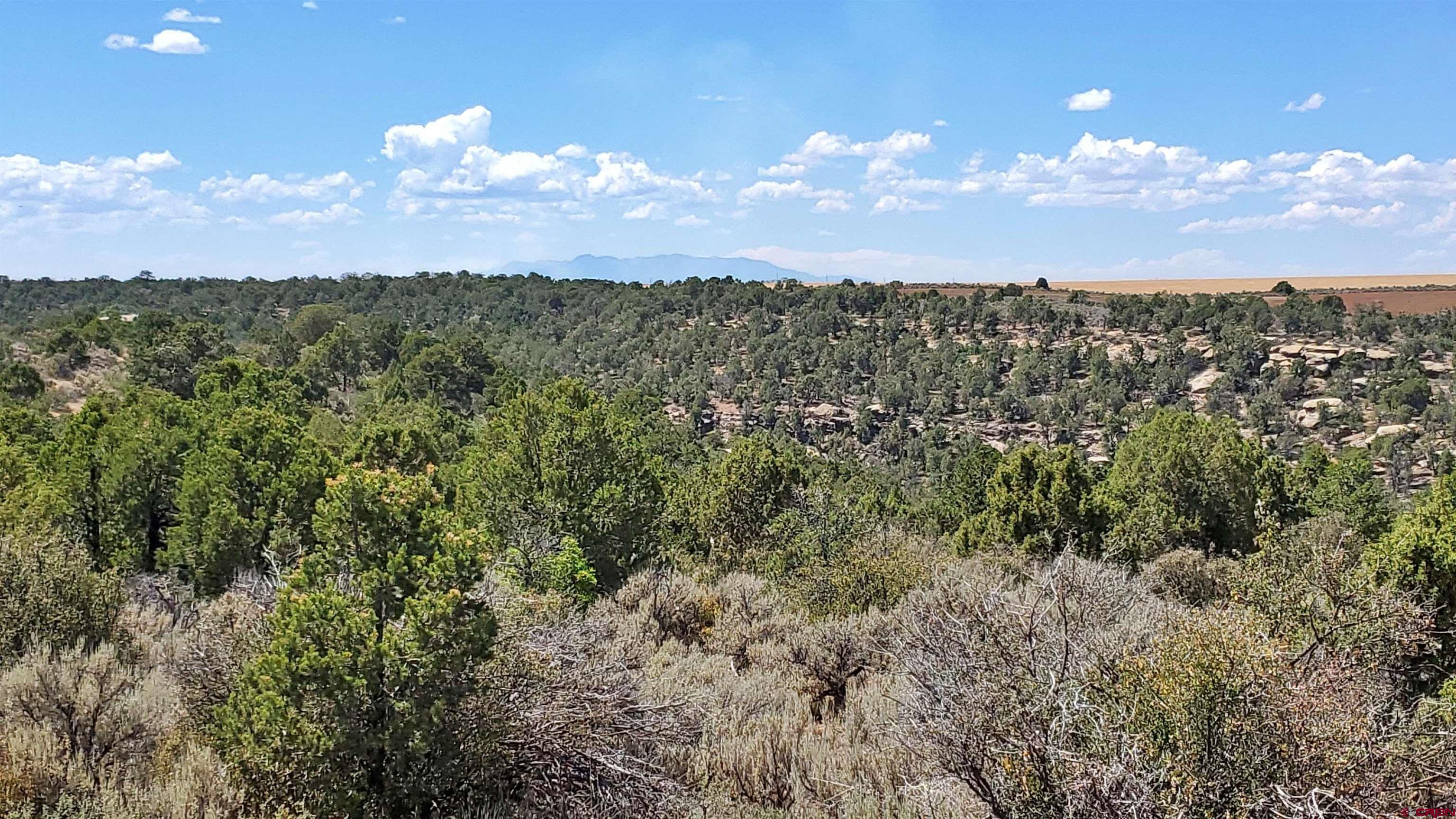 15.5 Yellow Jacket Co 81327 Yellow Jacket, CO 81335 - Photo 29 of 45 a view of a city