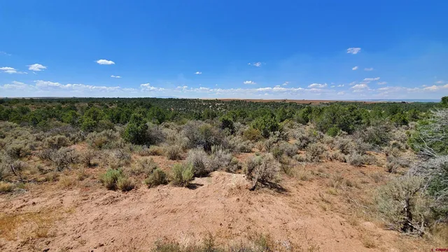 a view of a lake and mountain in the back