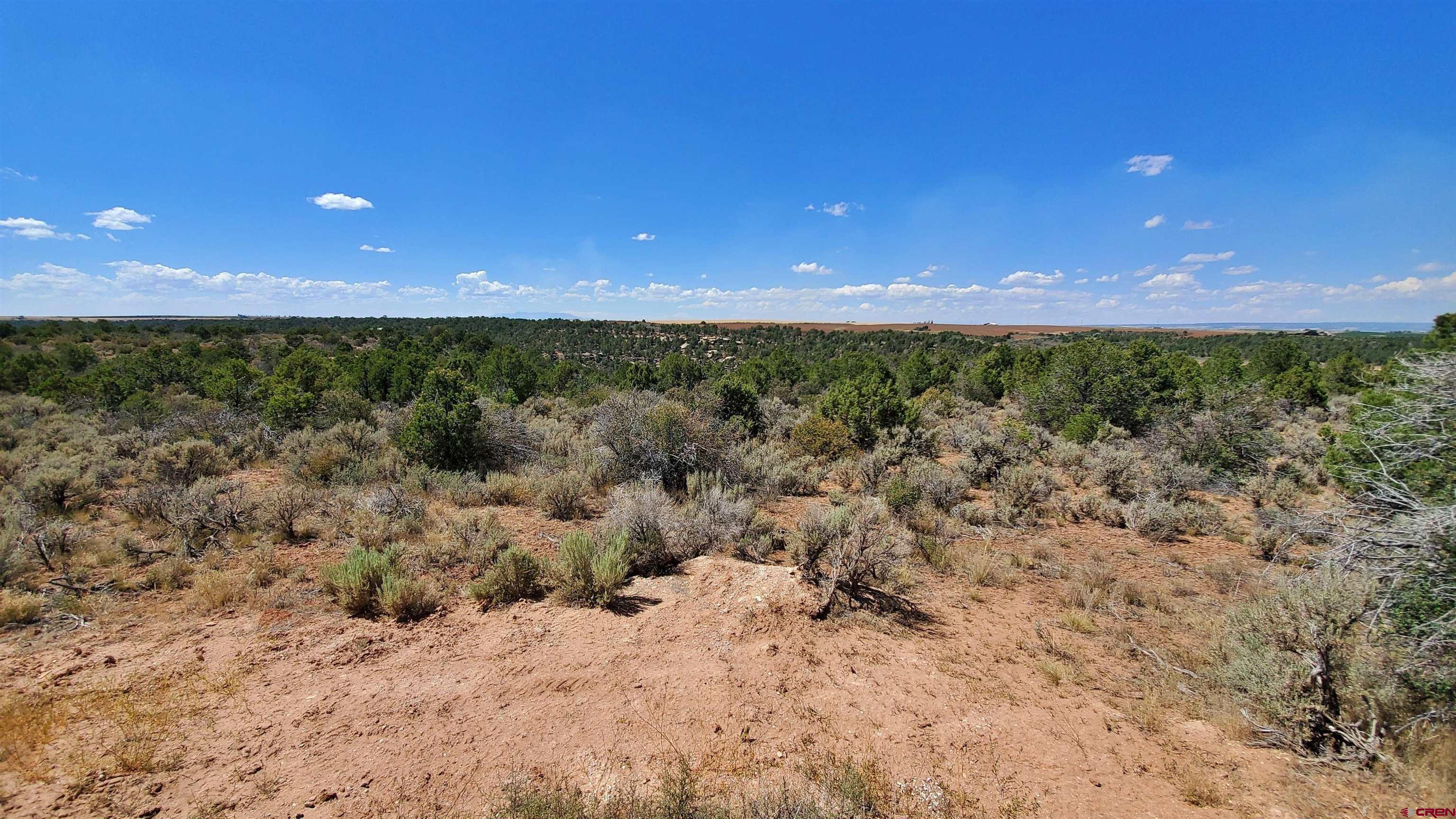 15.5 Yellow Jacket Co 81327 Yellow Jacket, CO 81335 - Photo 32 of 45 a view of a big yard