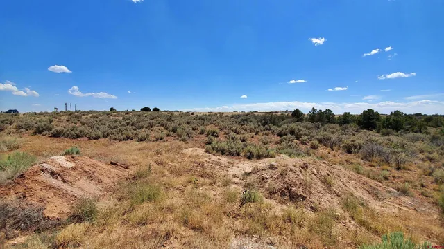 a view of a beach with a yard