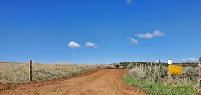 a view of a yard with an outdoor space
