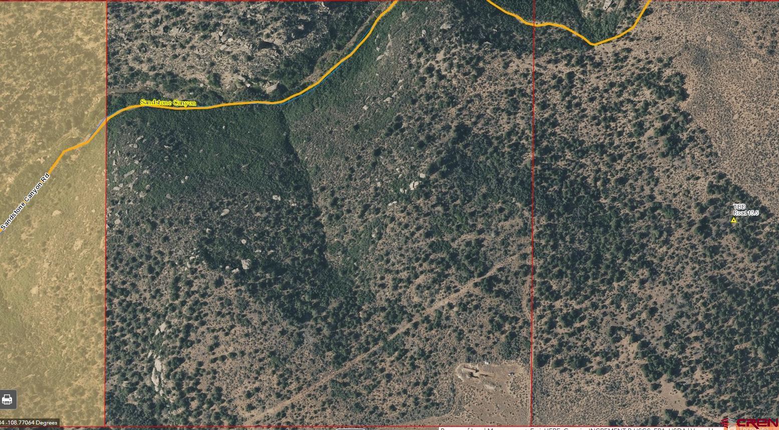 15.5 Yellow Jacket Co 81327 Yellow Jacket, CO 81335 - Photo 41 of 45 a view of a dry plant in a forest