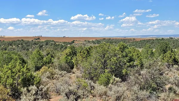 $120,000 | 15.5 Yellow Jacket Co 81327, Yellow Jacket, CO 81335