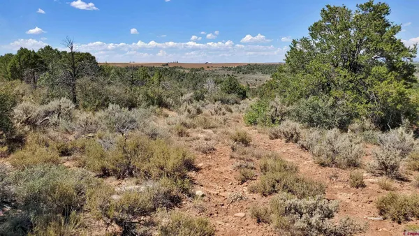 $120,000 | 15.5 Yellow Jacket Co 81327, Yellow Jacket, CO 81335