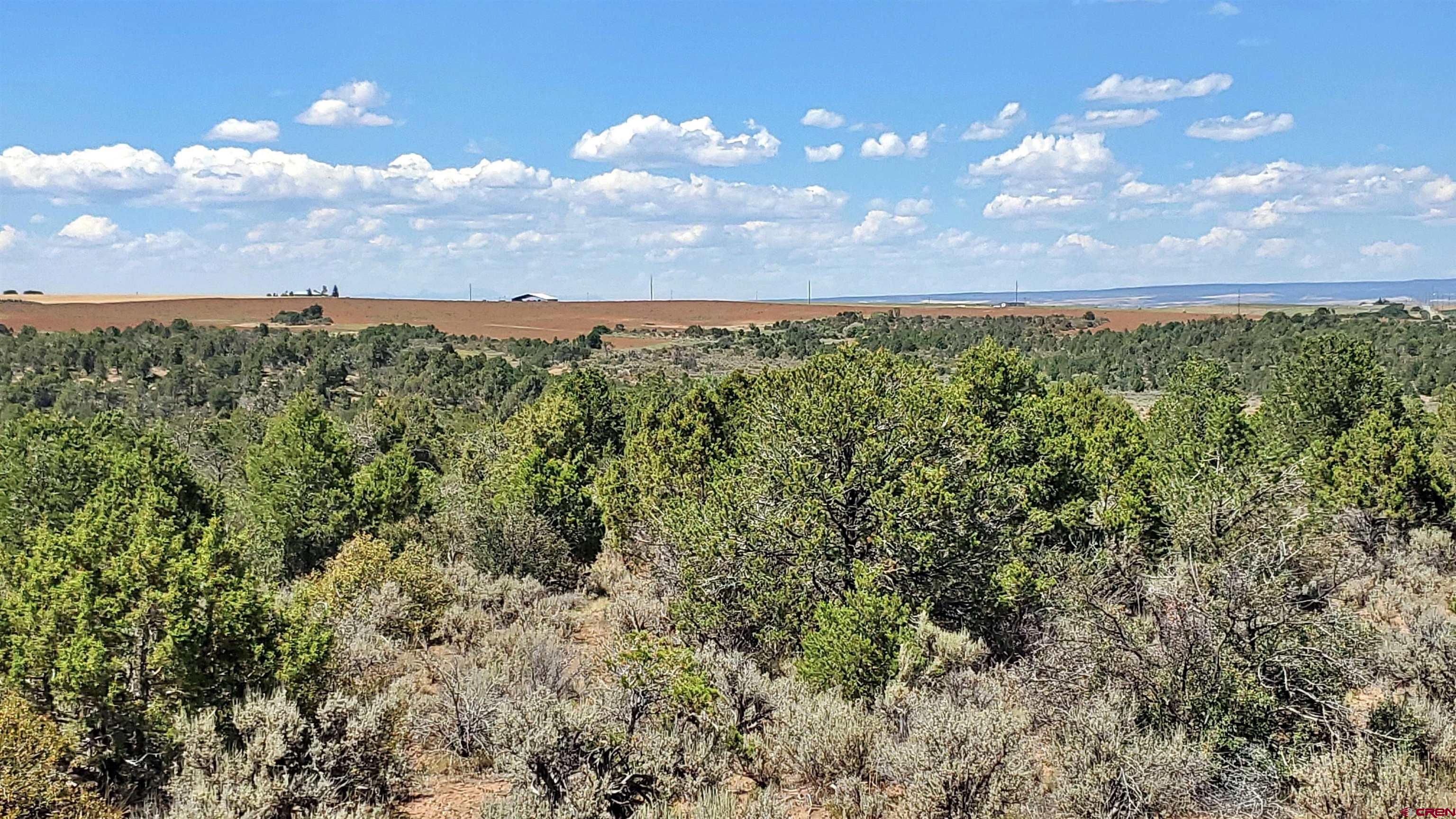 15.5 Yellow Jacket Co 81327 Yellow Jacket, CO 81335 - Photo 10 of 45 a view of a bunch of trees