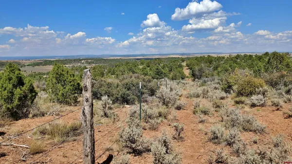 a view of a city and mountain