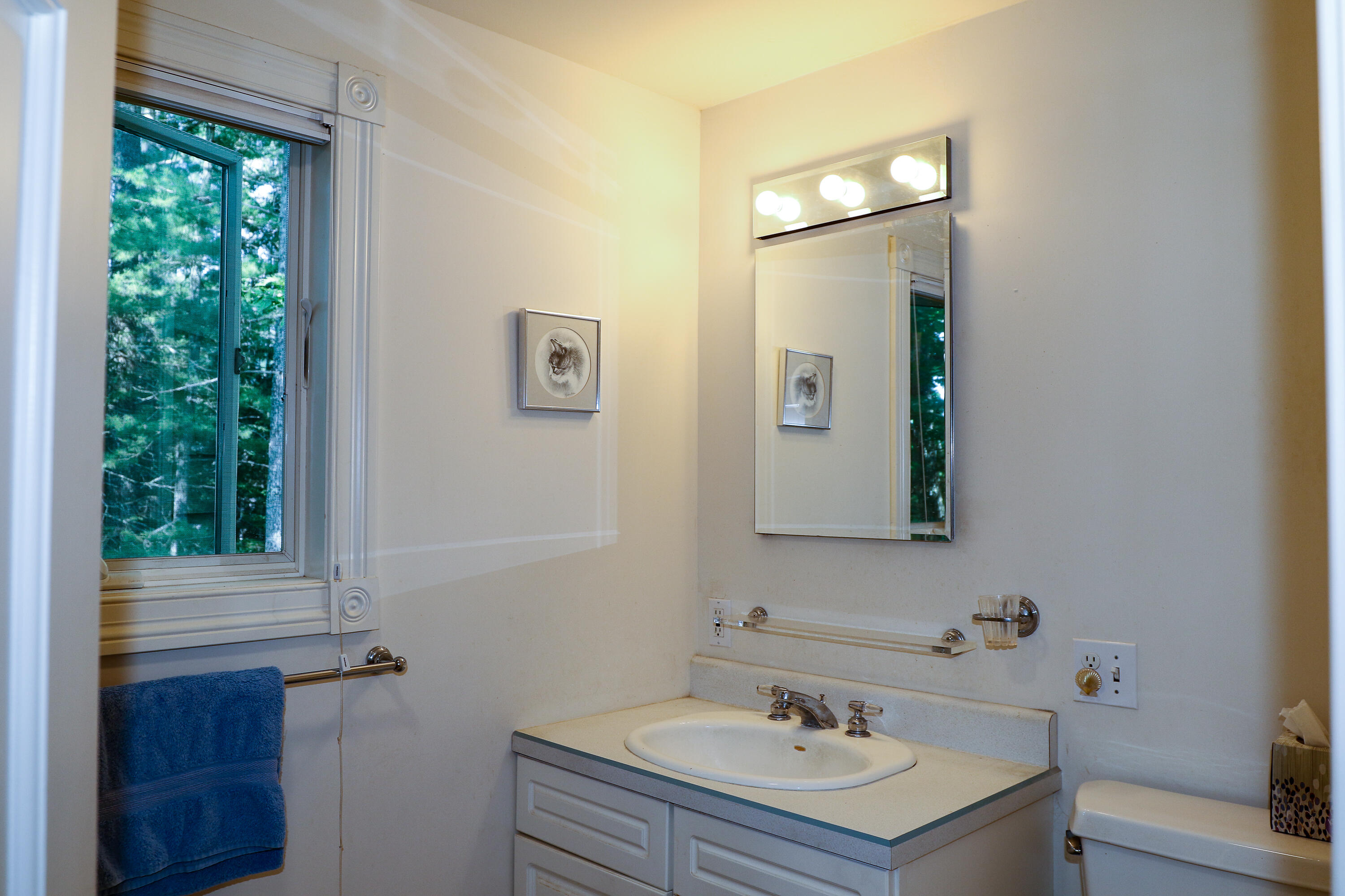 1070 Surry Road Surry, ME 04684 - Photo 17 of 35 133A9754