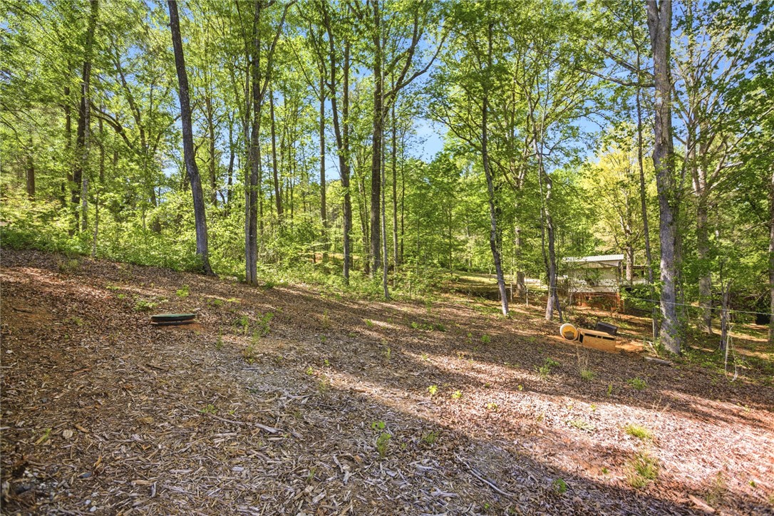 109 Ledbetter Lane Walhalla, SC 29691 - Photo 28 of 32