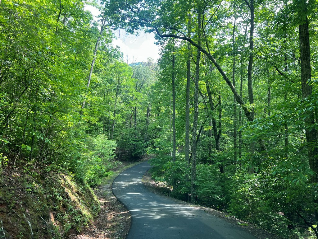 Lot 35 Mission Ridge Hayesville, NC 28904 - Photo 6 of 15