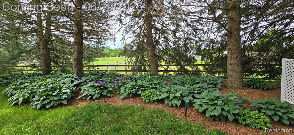 5900 Carter Court Howell, MI 48843 - Photo 64 of 72