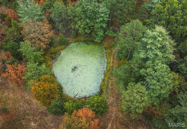 $399,000 | 98 Pinecrest Lane, Steelville, MO 65565