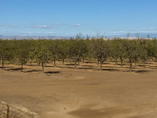 $795,000 | 5306 White Rock Road, Le Grand, CA 95333