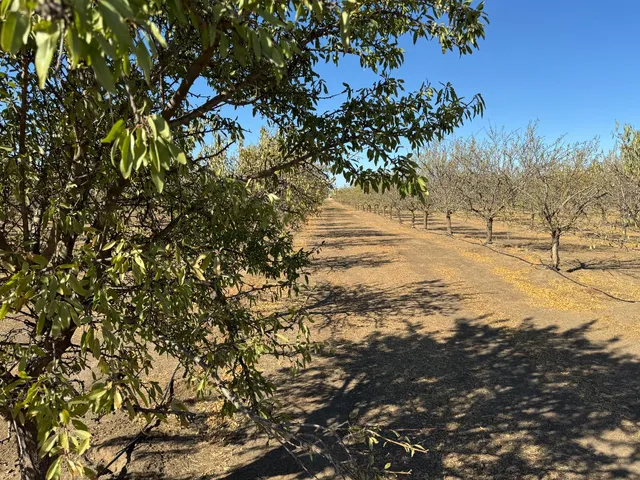 $795,000 | 5306 White Rock Road, Le Grand, CA 95333