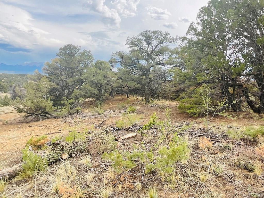 Lot 17 Navajo Ranch Walsenburg, CO 81089 - Photo 10 of 26 a view of a yard with trees