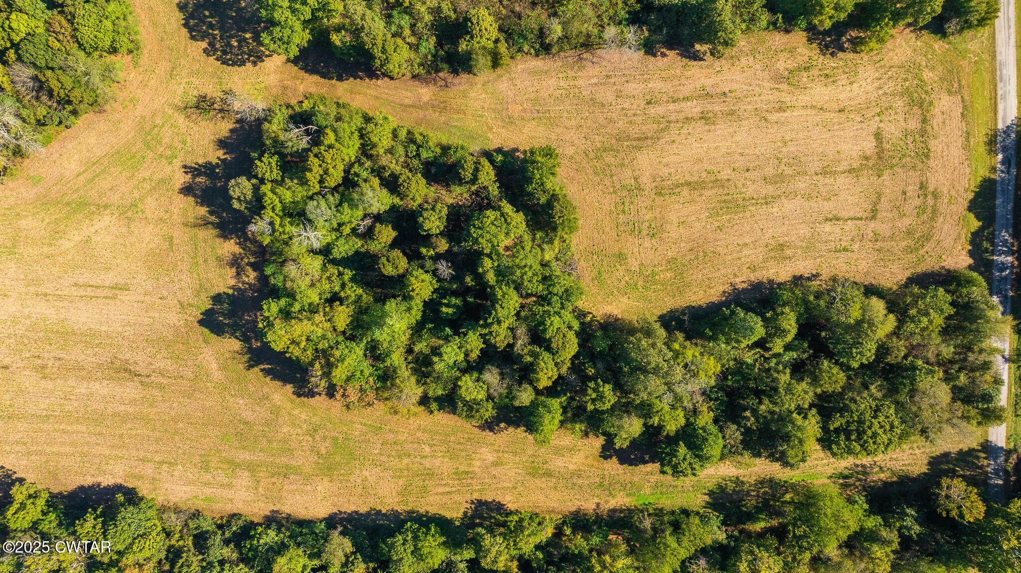 2 Hearn Road Greenfield, TN 38230 - Photo 6 of 13 DJI_20251009103818_0098_D