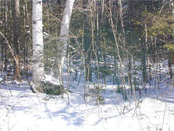 Lot 5 Mt Cleveland Road Bethlehem, NH 03574 - Photo 1 of 2