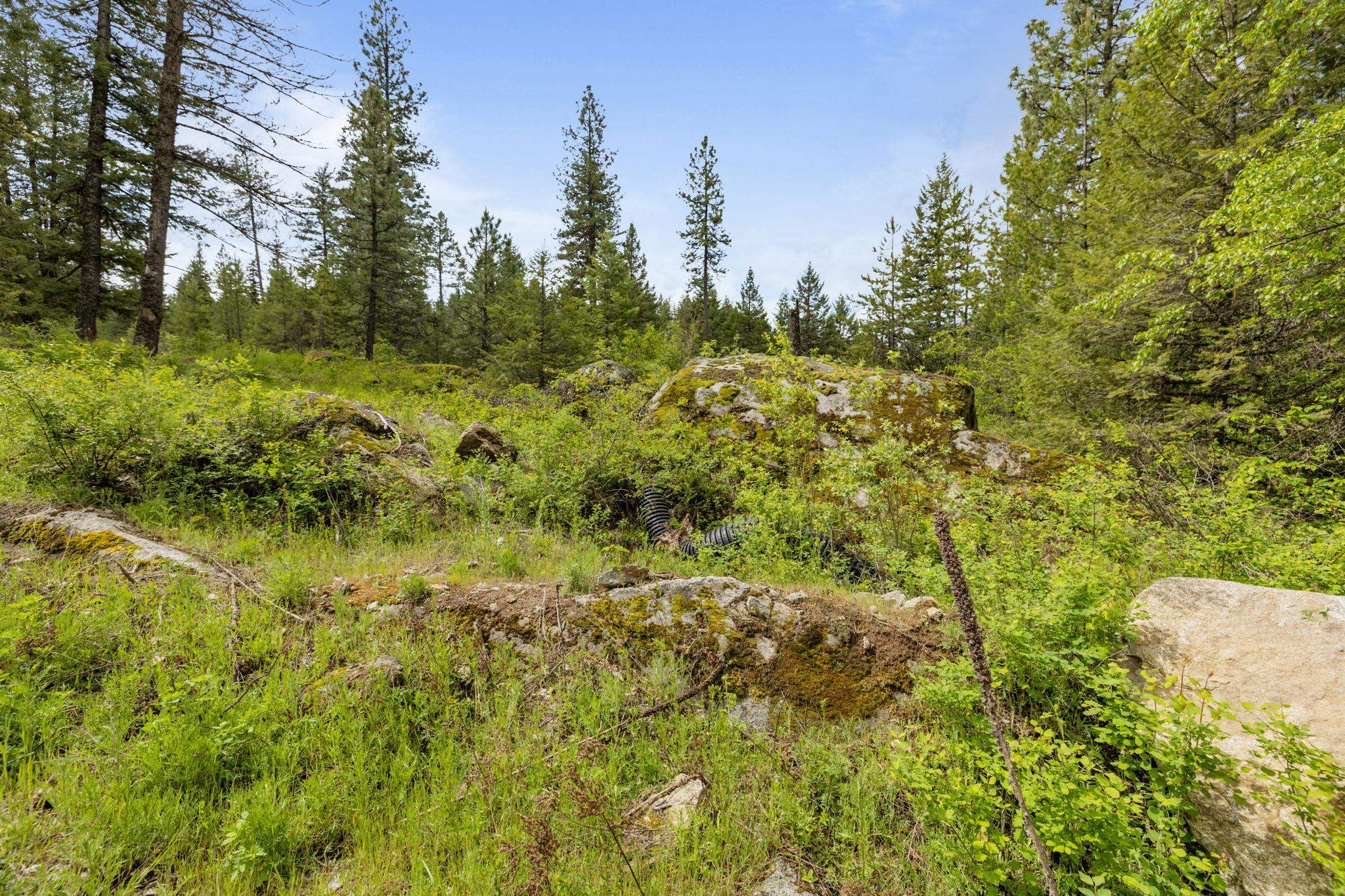 611 Granite Road Newport, WA 99156 - Photo 9 of 19