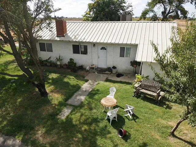 a view of a yard of the trees