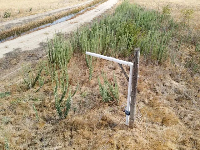 a bathroom with a shower and a mirror