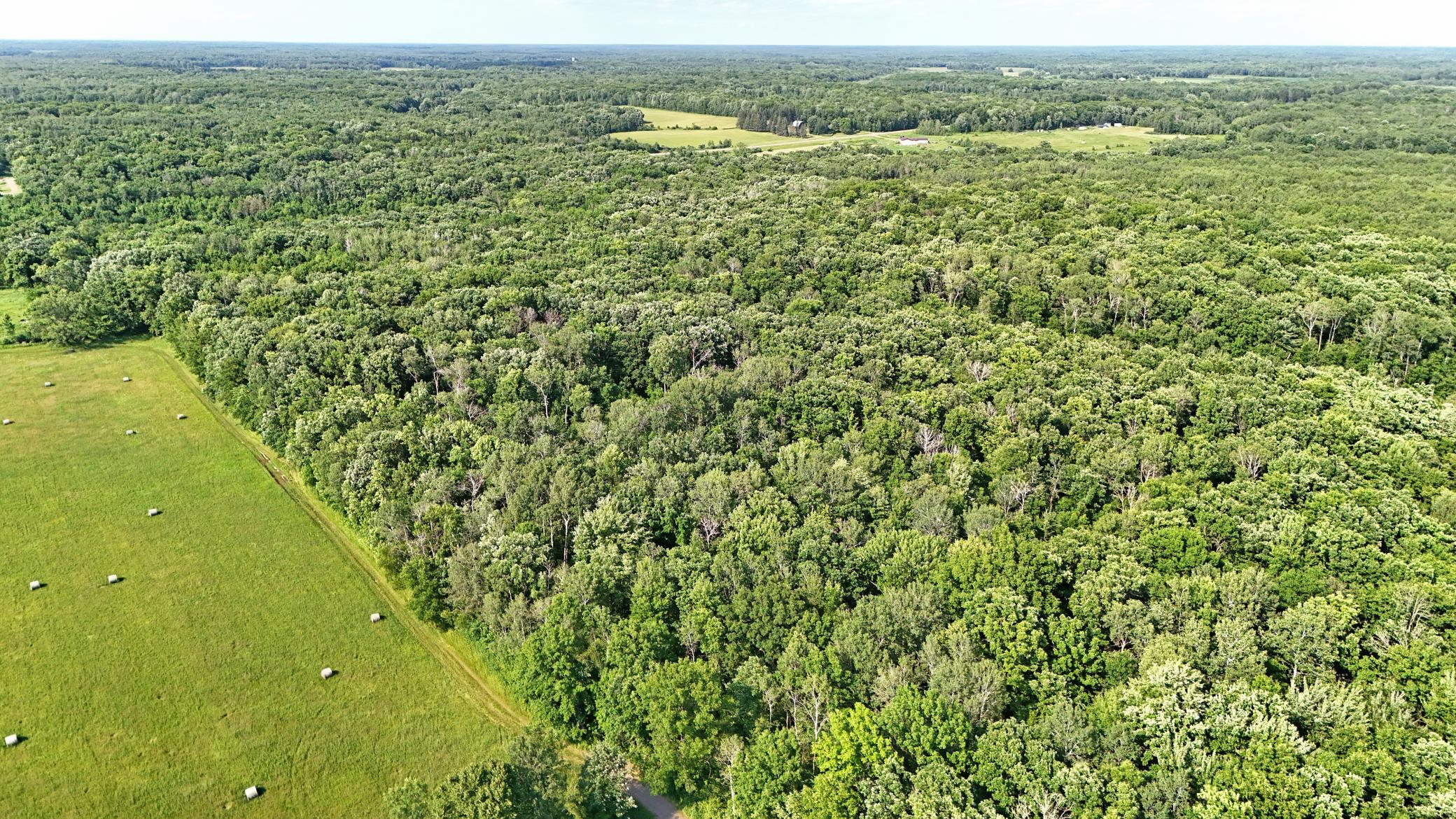 Tbd 155th Avenue Milaca, MN 56353 - Photo 4 of 18