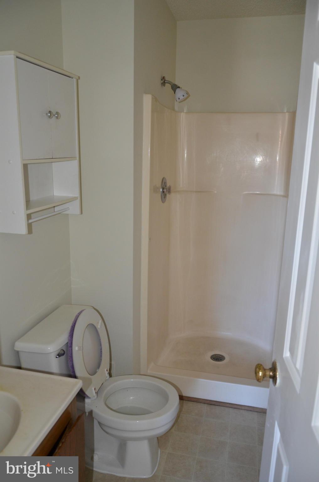 3626 Anchorage Cove Triangle, VA 22172 - Photo 9 of 11 a bathroom with a toilet and a shower