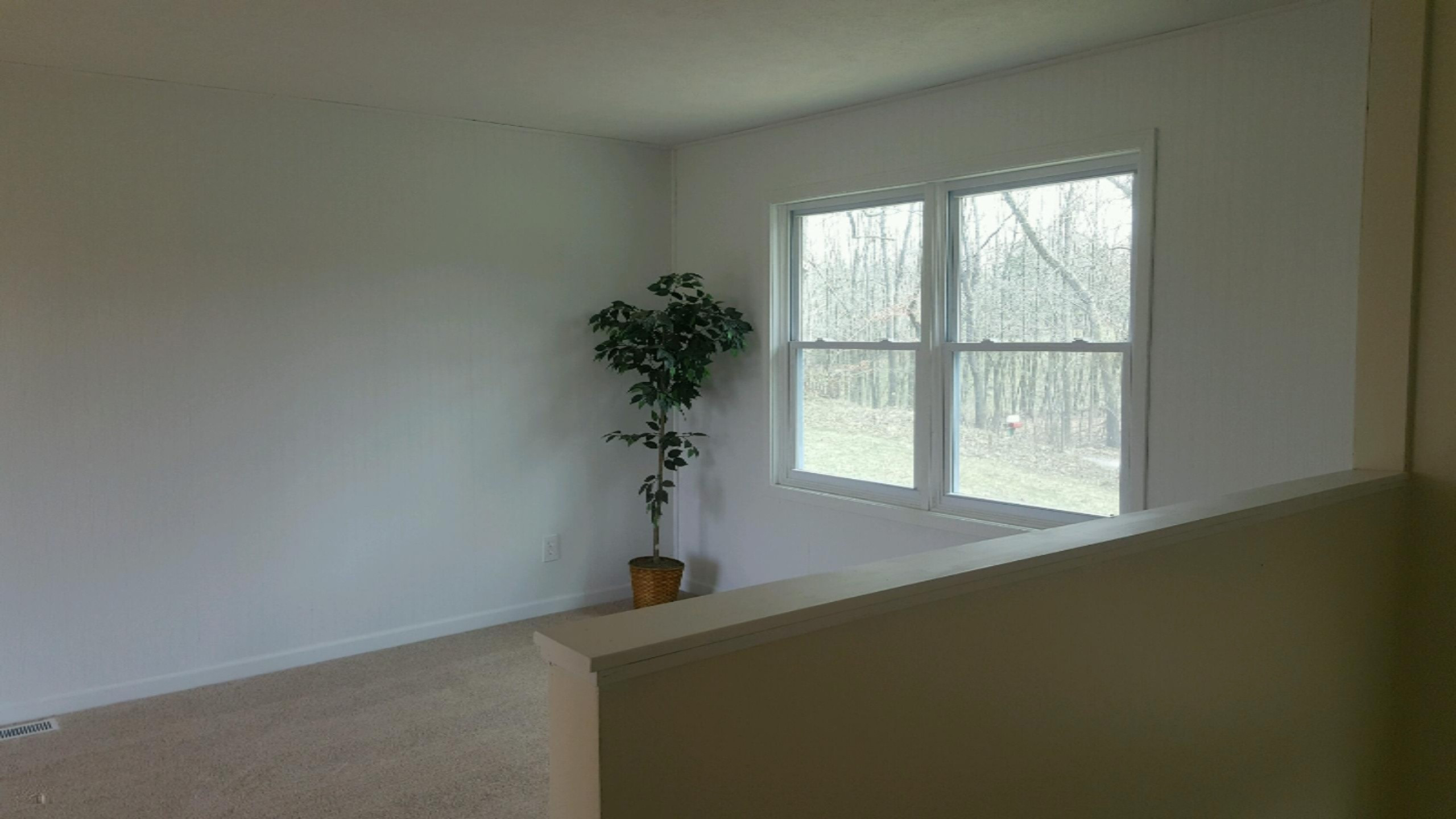 10706 Pleasant Lake Road Delton, MI 49046 - Photo 3 of 14 PLK3