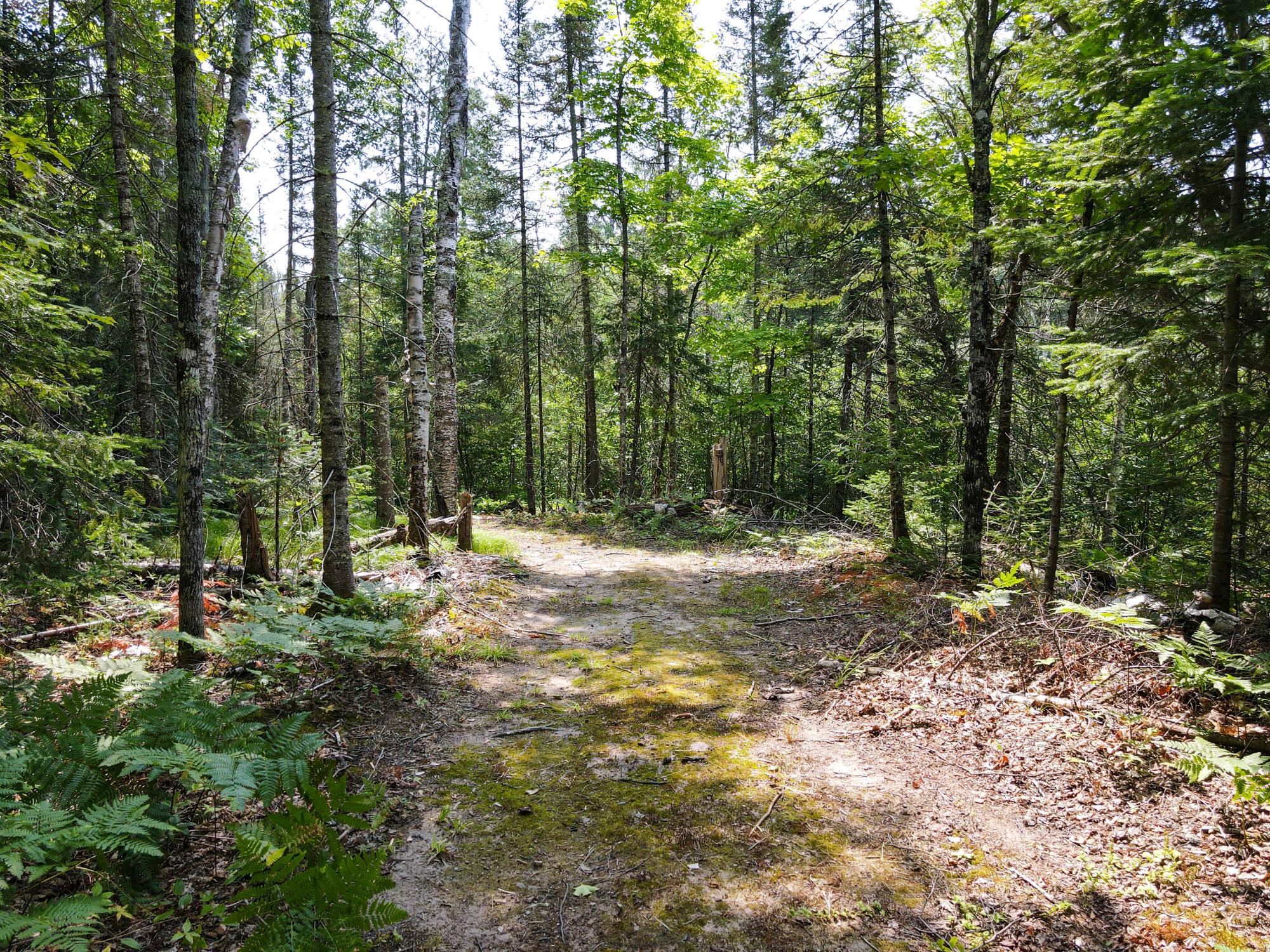 Lot 7 Hunters Ridge Road Phelps, WI 54554 - Photo 2 of 29