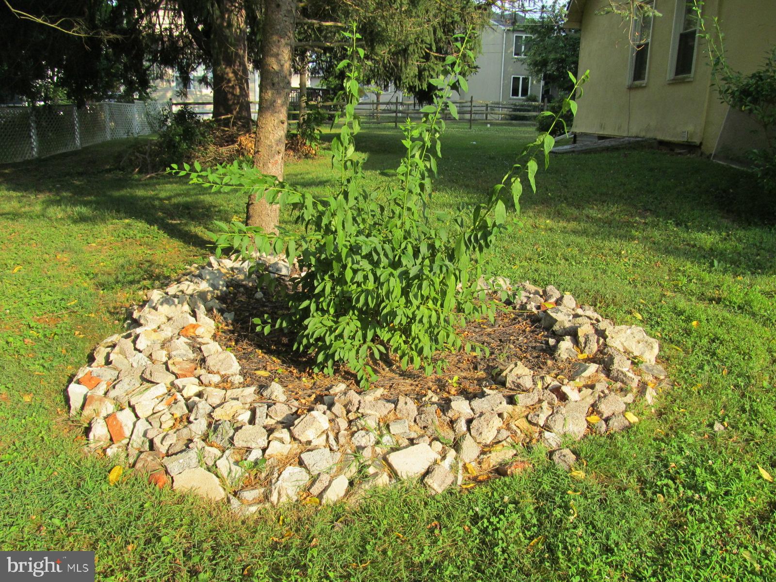 309 Summit Road Media, PA 19063 - Photo 9 of 22 Landscape Feature