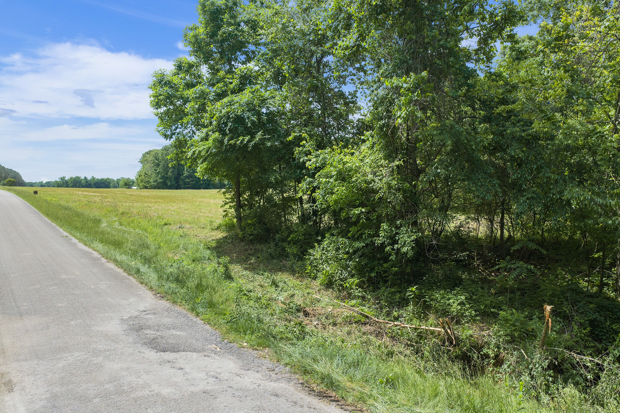 0 Mann Road Hollow Rock, TN 38342 - Photo 4 of 14