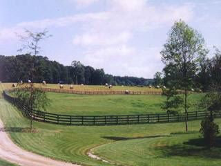 728 Bangall Amenia Road Millbrook, NY 12545 - Photo 7 of 7 a view of a golf course with a lake