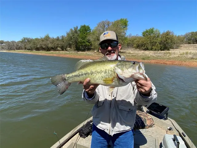 a view of a terrace with a bench
