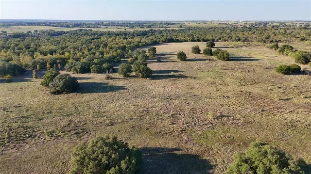 an aerial view of mountain with trees