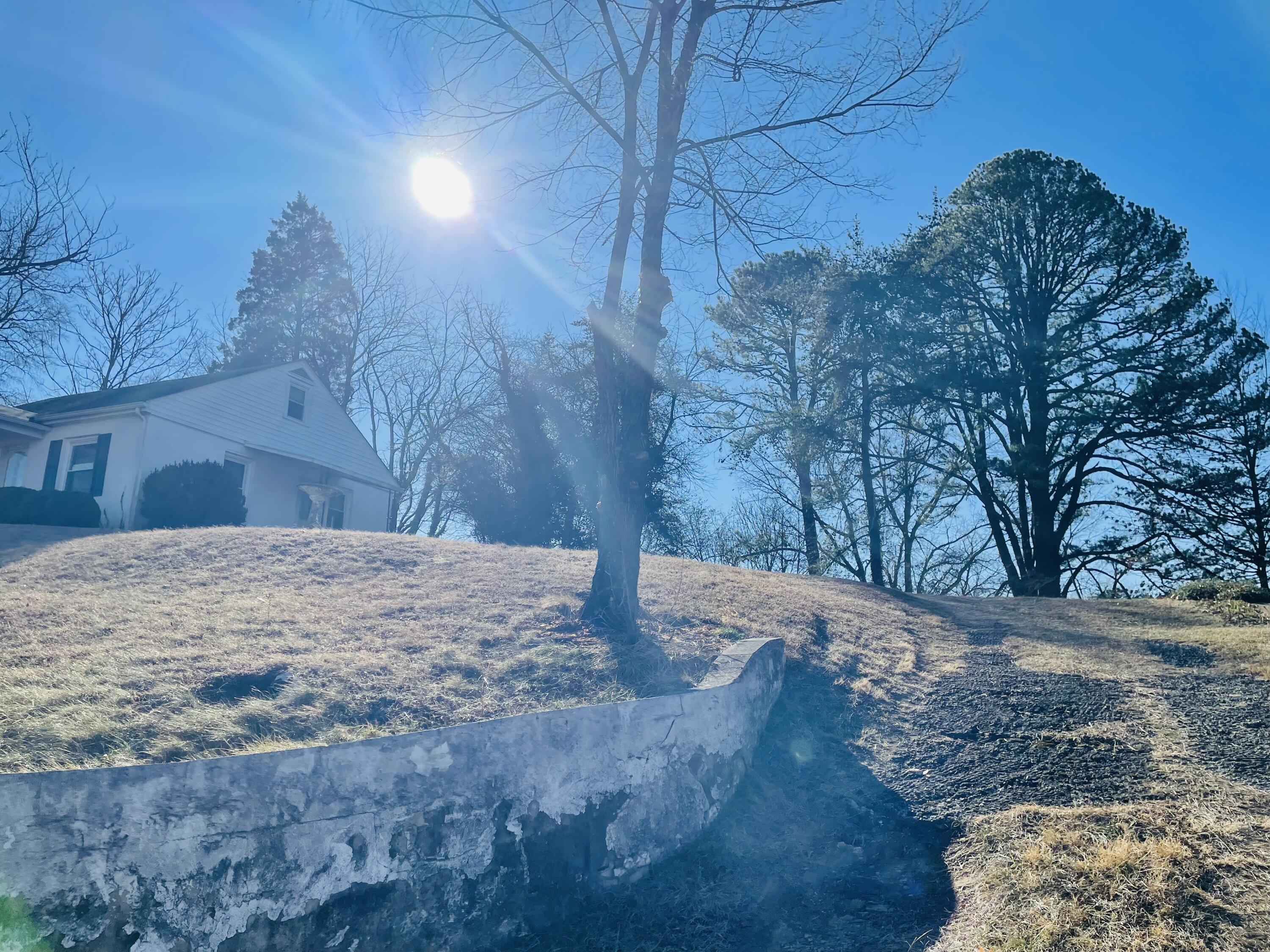 1152 Hamilton Avenue Southwest Roanoke, VA 24015 - Photo 2 of 36 side at driveway