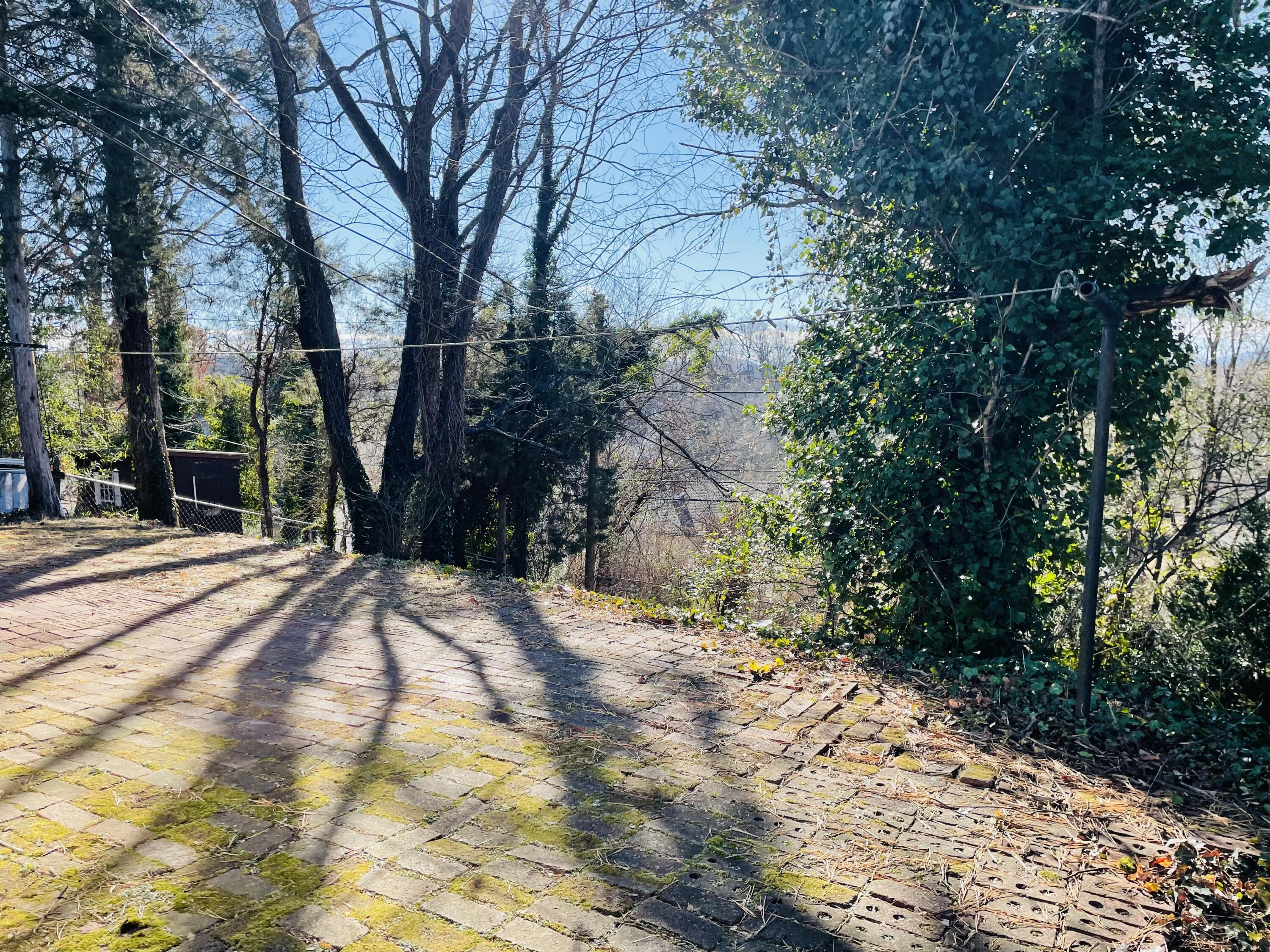 1152 Hamilton Avenue Southwest Roanoke, VA 24015 - Photo 7 of 36 brick patio out back
