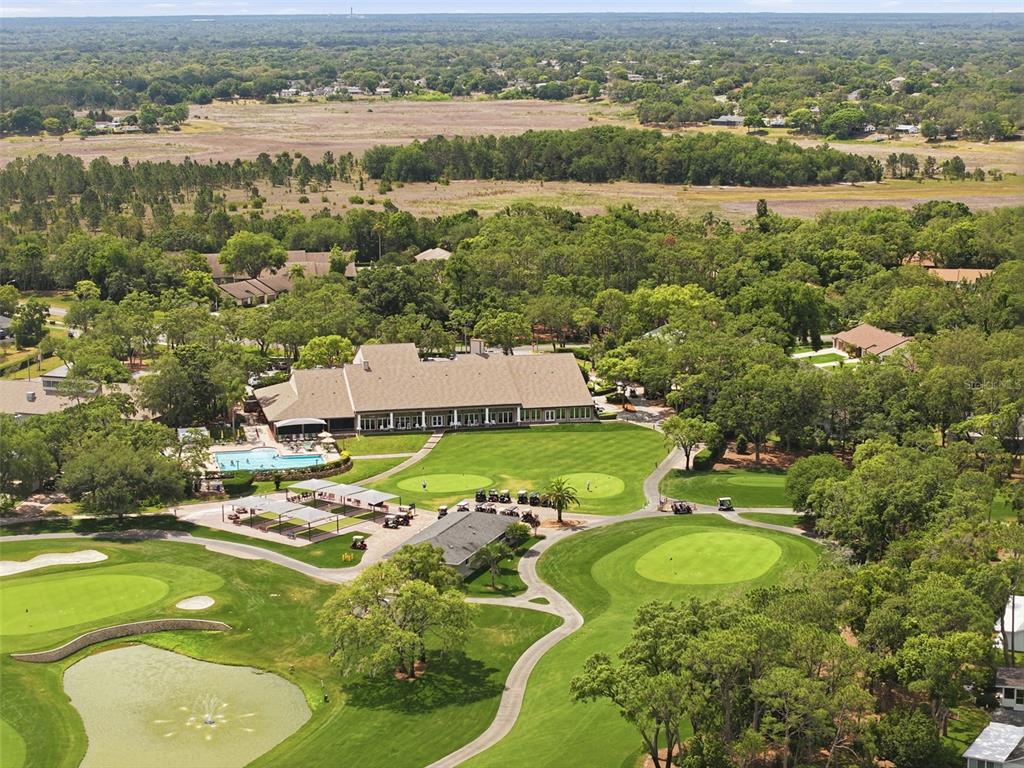 6463 Putters Circle Spring Hill, FL 34606 - Photo 64 of 70