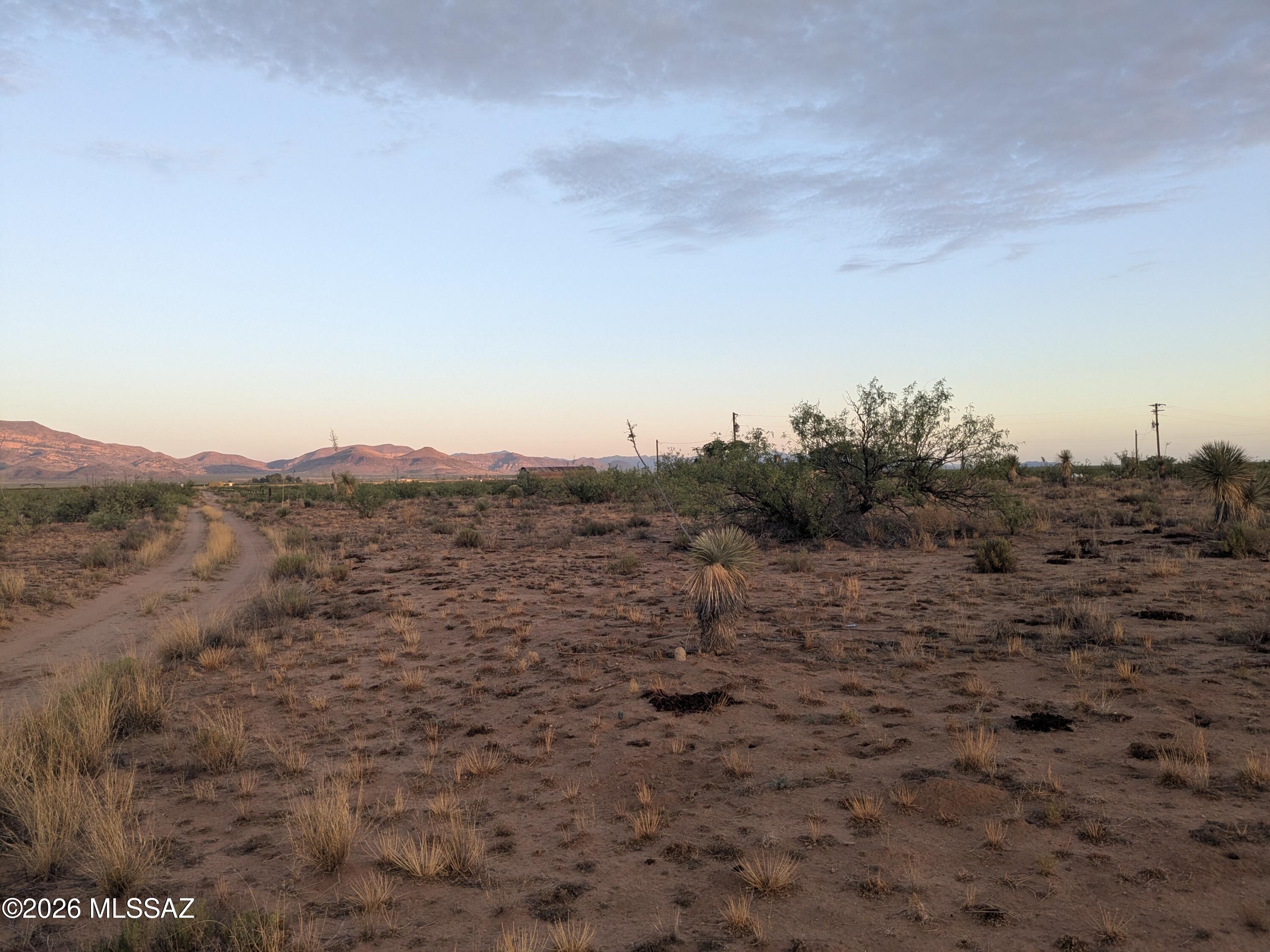 County Line Road, Unit 20909021 Willcox, AZ 85643 - Photo 7 of 12 PXL_20260709_123259134