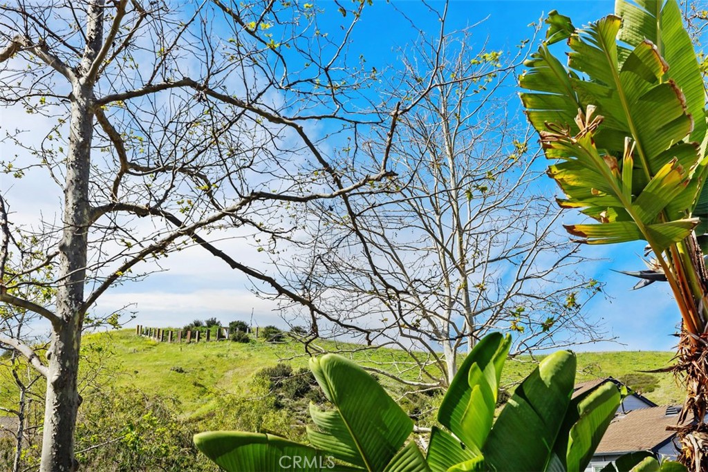 11 Oatfield Farm Ladera Ranch, CA 92694 - Photo 22 of 45