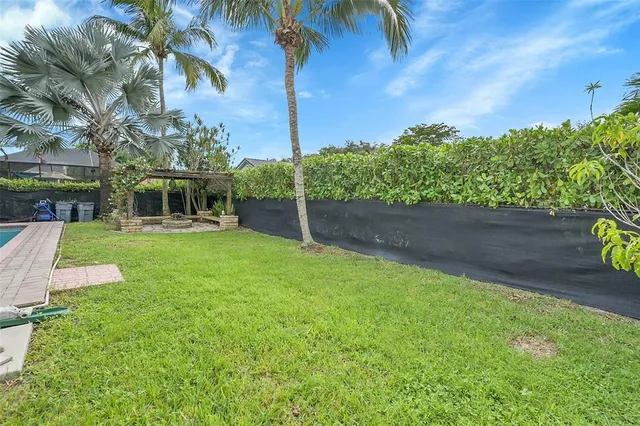 a view of a yard with plants and palm trees