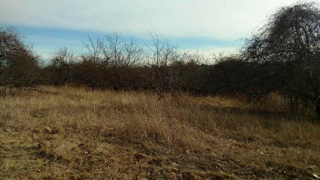 0 Chase Road Lyndeborough, NH 03082 - Photo 1 of 1