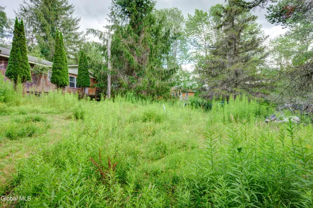 $97,400 | 113 Quiet Path, Summit, NY 12175