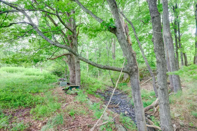 $97,400 | 113 Quiet Path, Summit, NY 12175