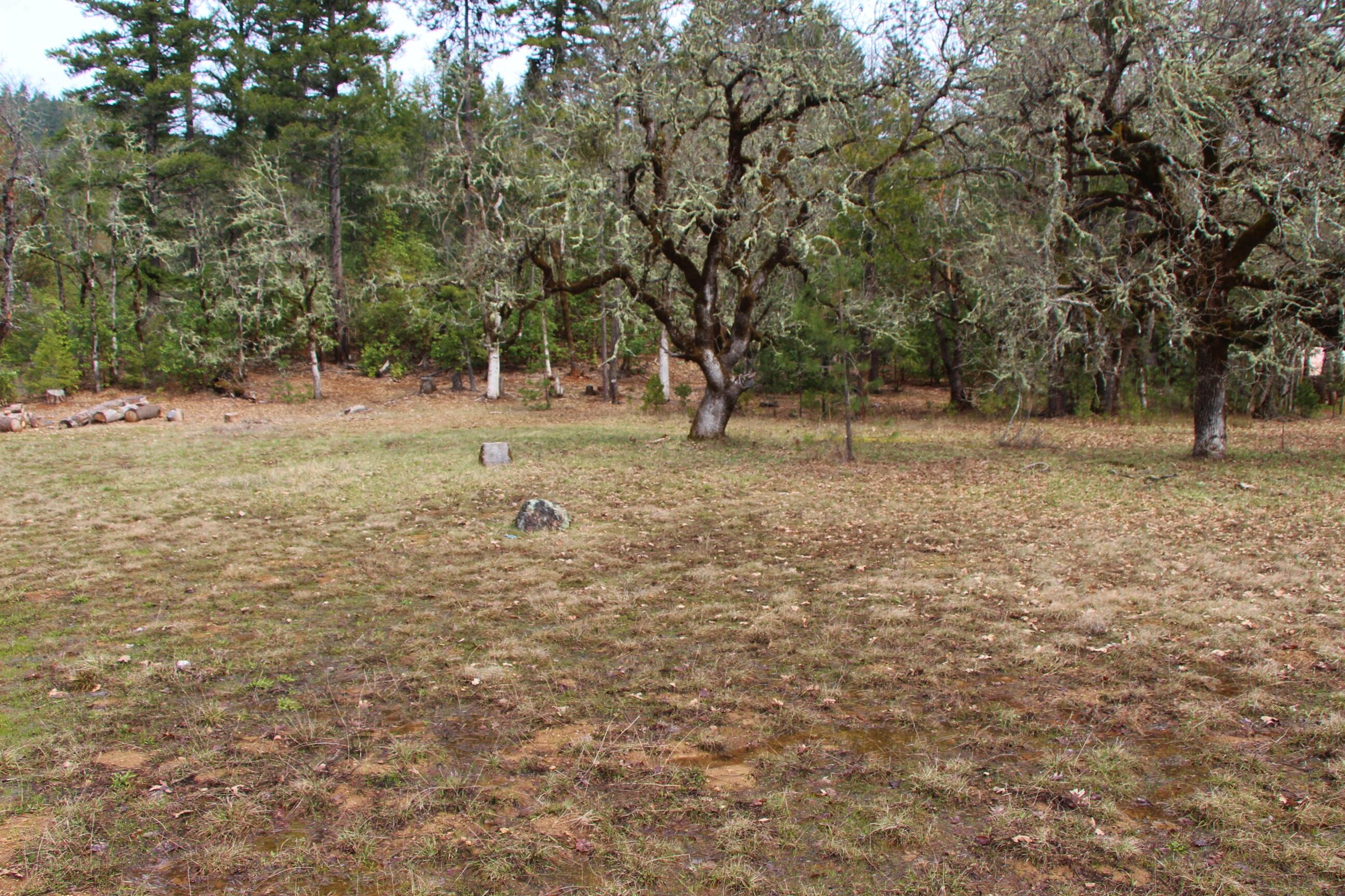 1789 Laurel Road Cave Junction, OR 97523 - Photo 5 of 14 05