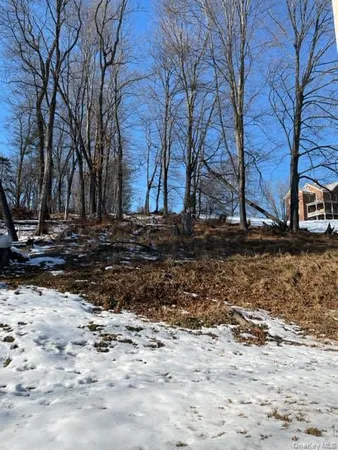 a view of a yard covered with snow